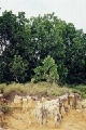 erosion close tahura.jpg