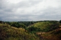 protected area tahura.jpg