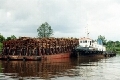 app siak transport.jpg